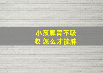 小孩脾胃不吸收 怎么才能胖